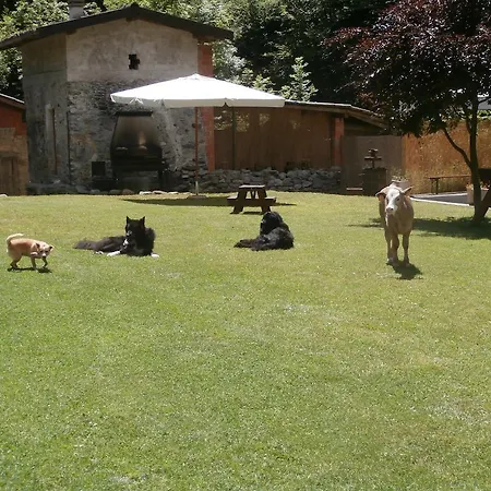 La Vecchia Chioderia Gospodarstwo agroturystyczne *