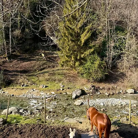 Agriturismo La Vecchia Chioderia Farm stay