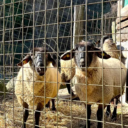 Alloggio per agriturismo La Vecchia Chioderia *