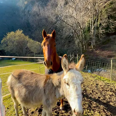 La Vecchia Chioderia Alloggio per agriturismo Grandola ed Uniti