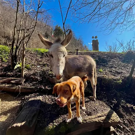 Alloggio per agriturismo La Vecchia Chioderia Grandola ed Uniti