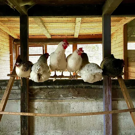 La Vecchia Chioderia Alloggio per agriturismo *